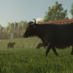 Everything we need to know about water buffalos in 25 seconds